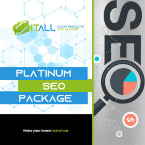 PLATINUM SEO PACKAGE
