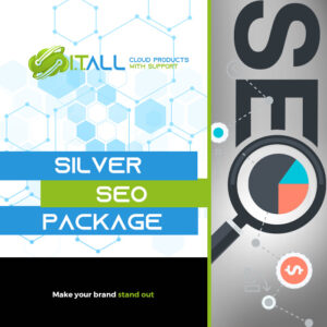 SILVER SEO PACKAGE